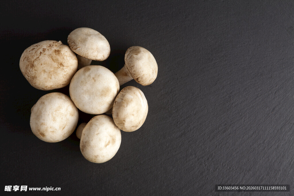 黑底上的新鲜白蘑菇