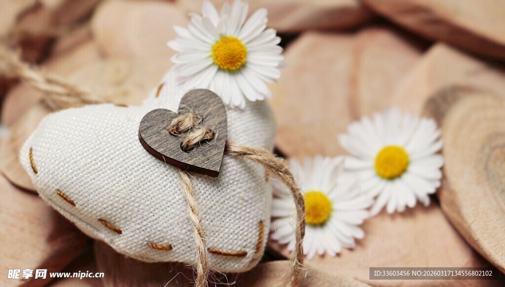 心形石与雏菊的温馨组合