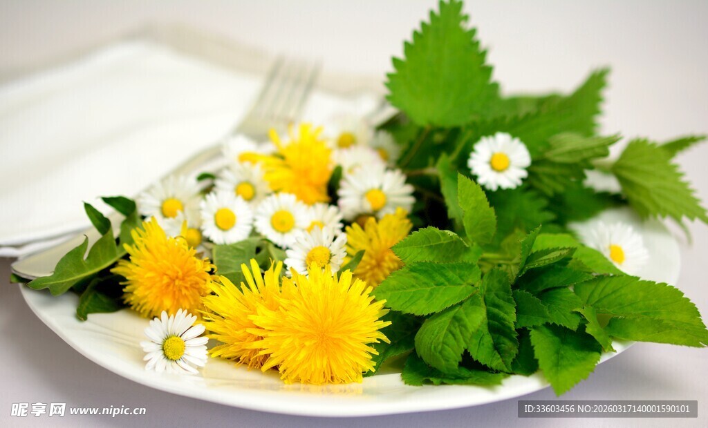 盘中清新花草组合