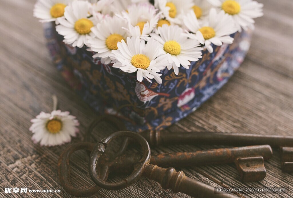雏菊与旧钥匙的复古组合