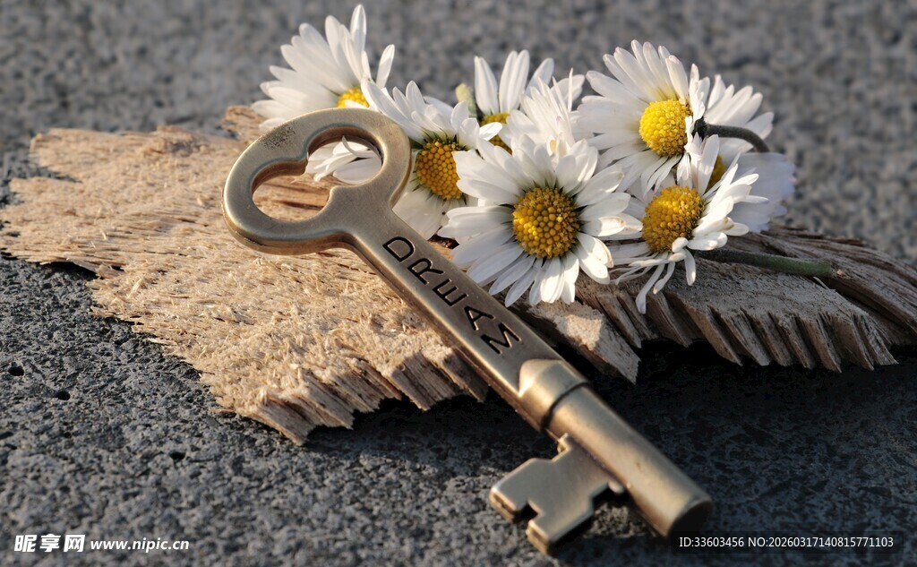 雏菊旁的复古钥匙