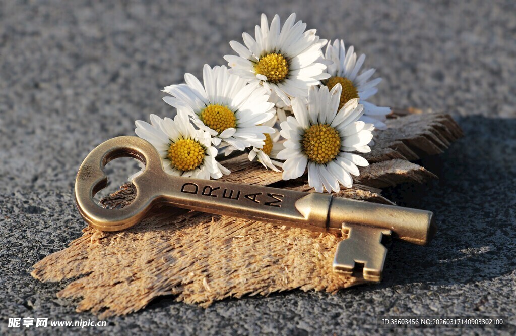 雏菊与古旧钥匙的静物组合