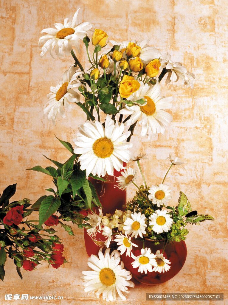 花瓶中的美丽雏菊组合