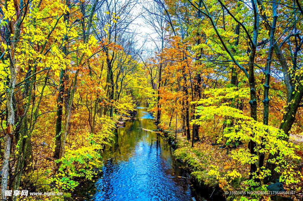 秋日林间小河绚丽风光
