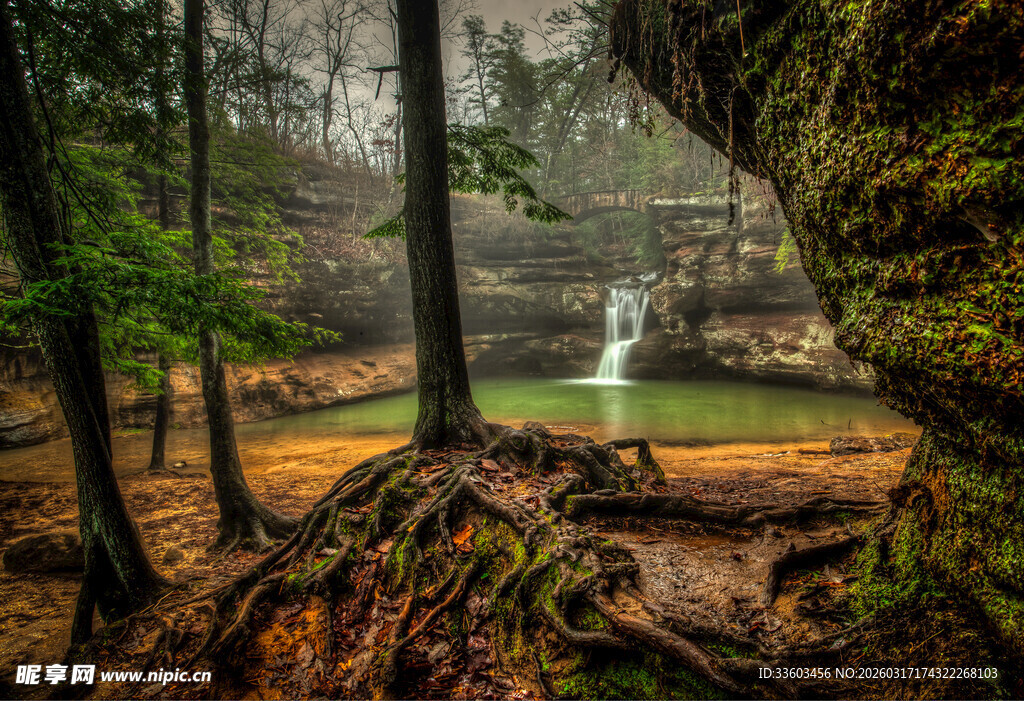森林中的静谧瀑布景观