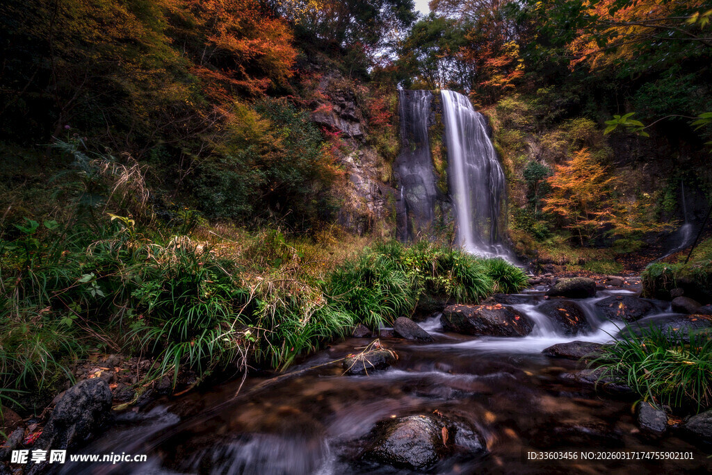秋日山林中的灵动瀑布