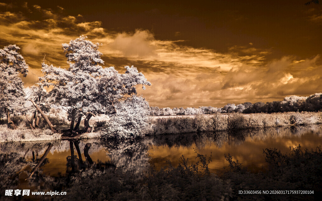 红外摄影下的梦幻冬日湖景