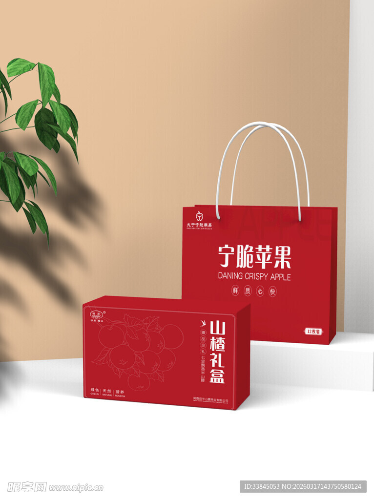 包装盒手提袋组合样机贴图