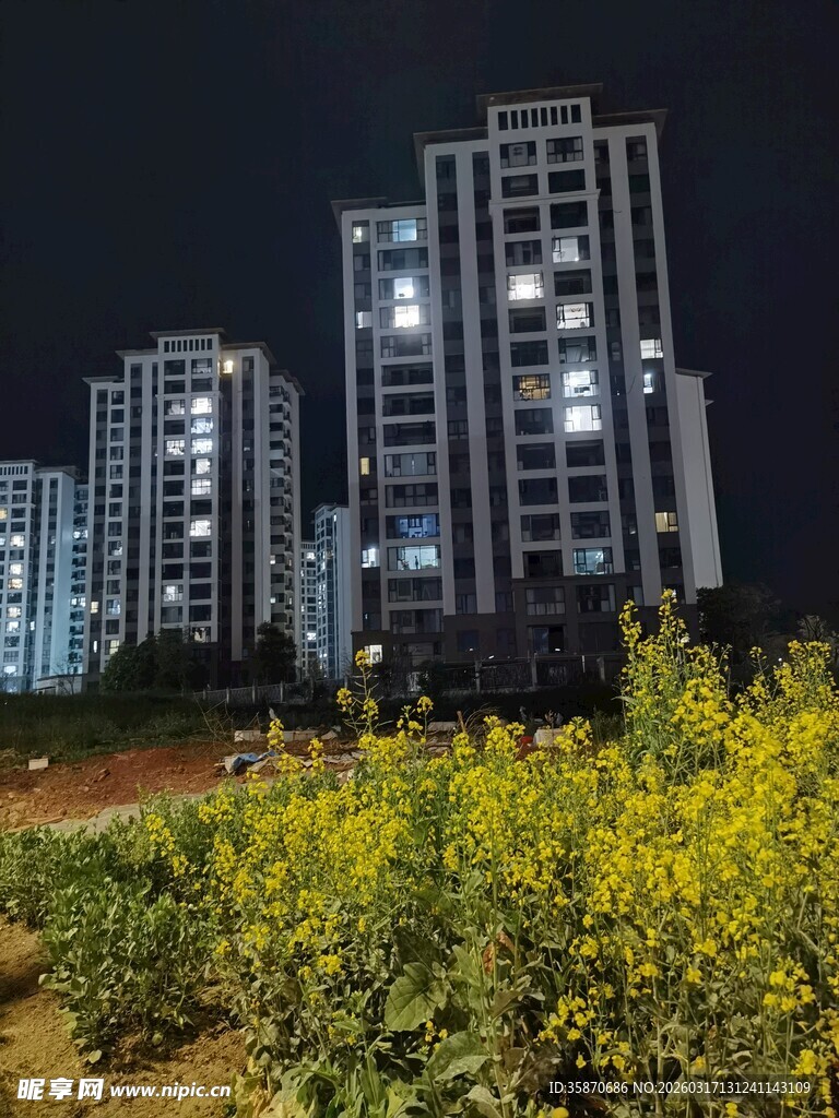 夜幕下的高楼与繁茂绿植