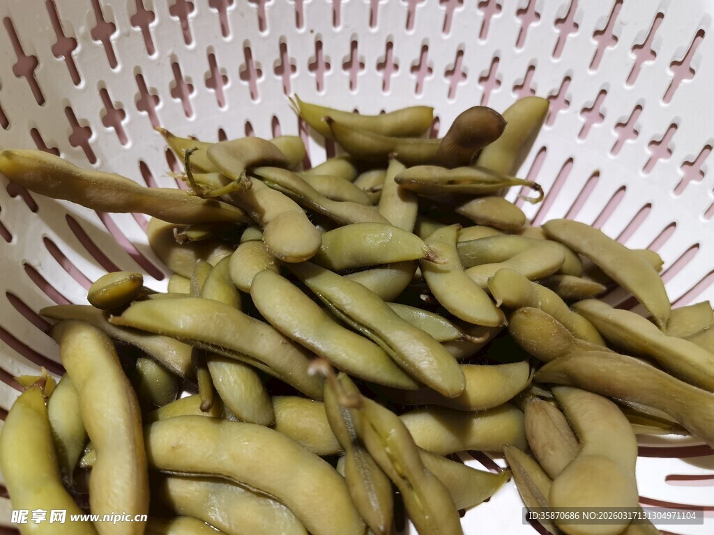 新鲜翠绿毛豆置于滤网中