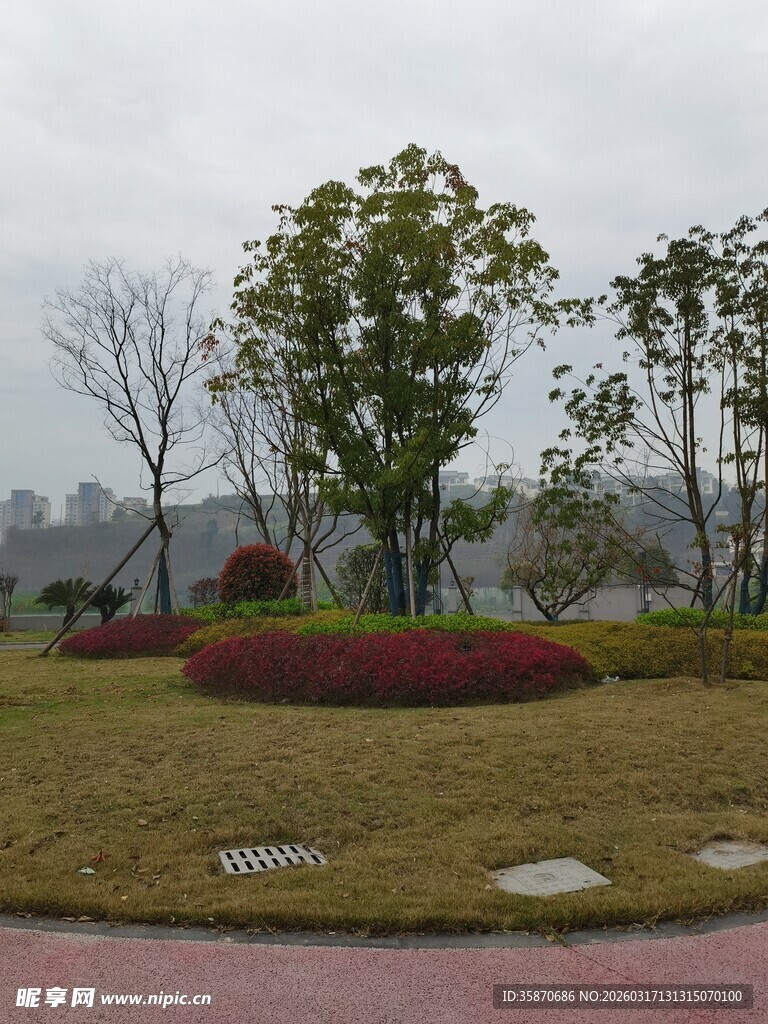 雾中园林景观一角