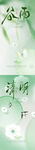 清明谷雨海报