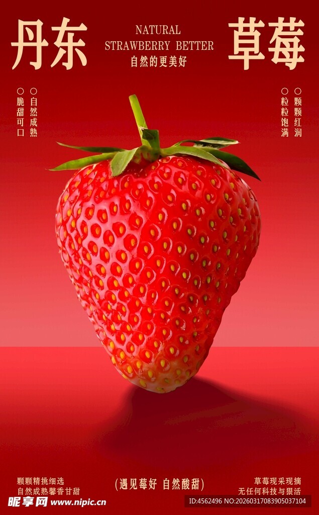 丹东草莓鲜红饱满超诱人