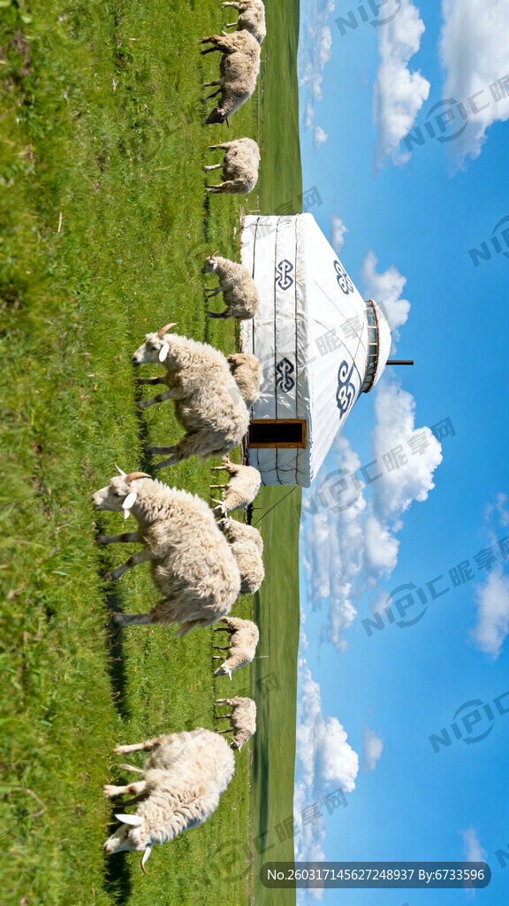 蓝天白云绿草地 要竖版