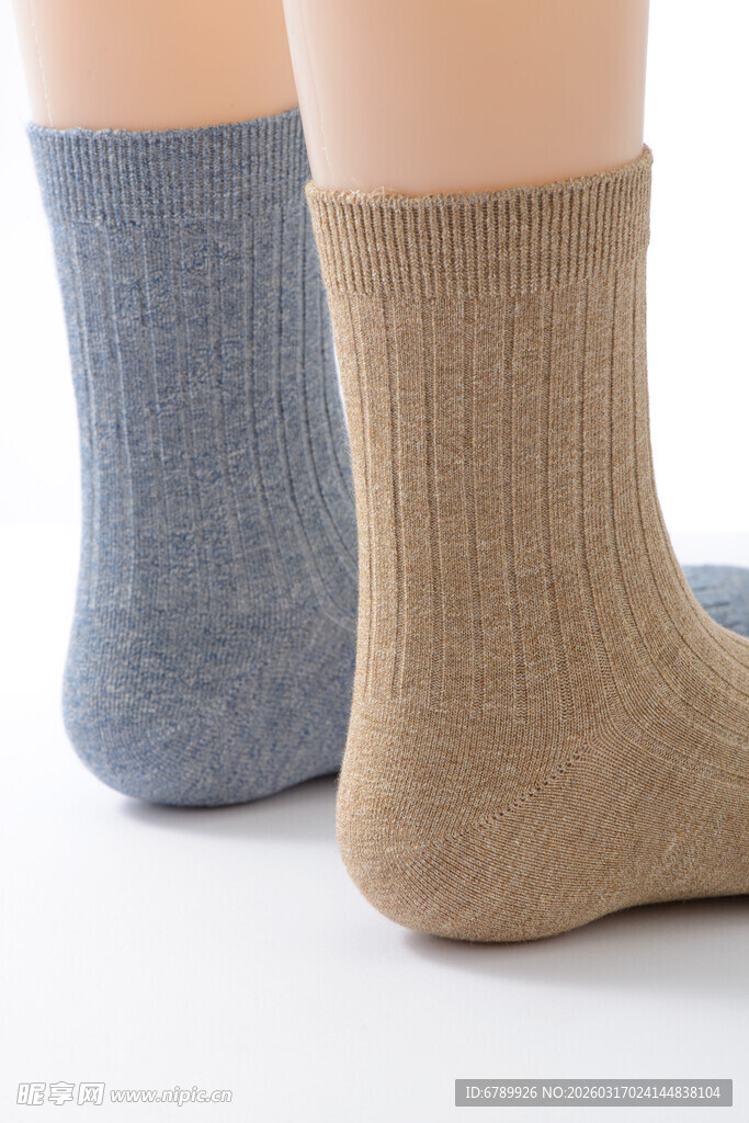 两双简约纯色女士短袜