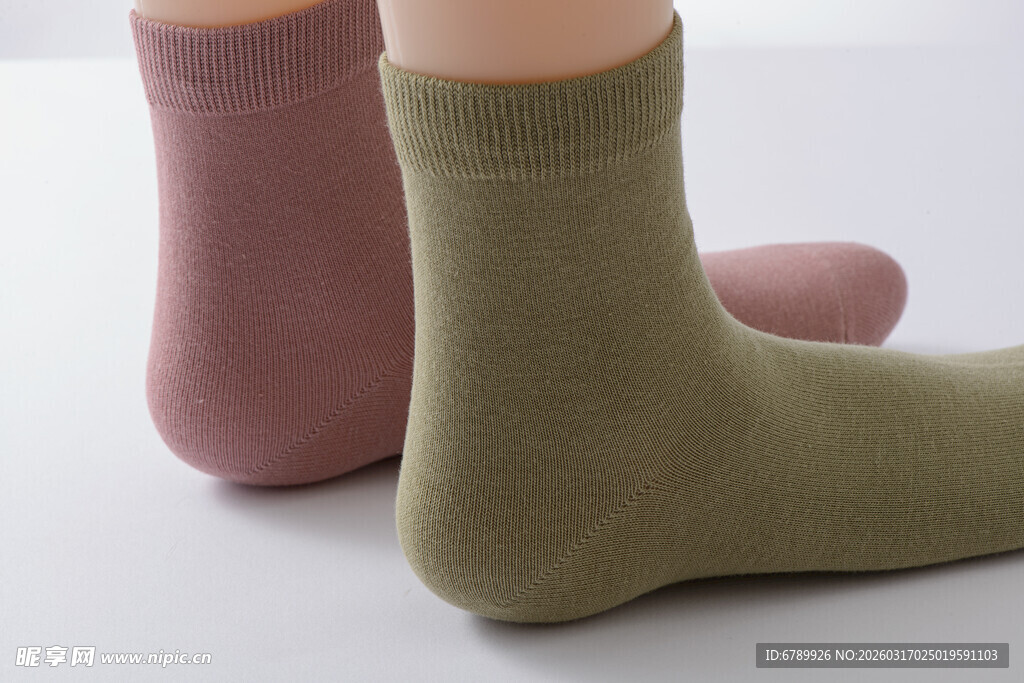 两双简约纯色女士短袜