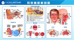 耳鼻咽喉解剖图