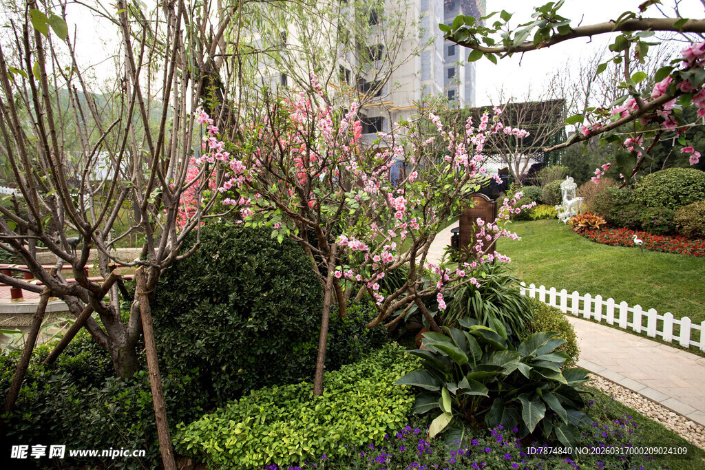 春日繁花盛开的园林景致