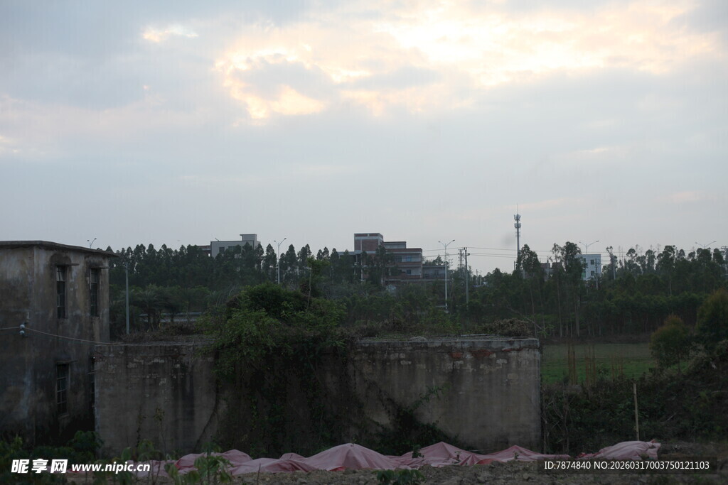 废弃建筑与周边绿植景观