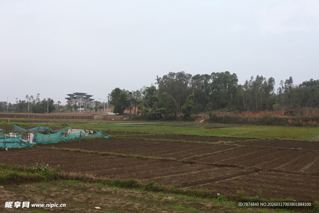 田野农田景象