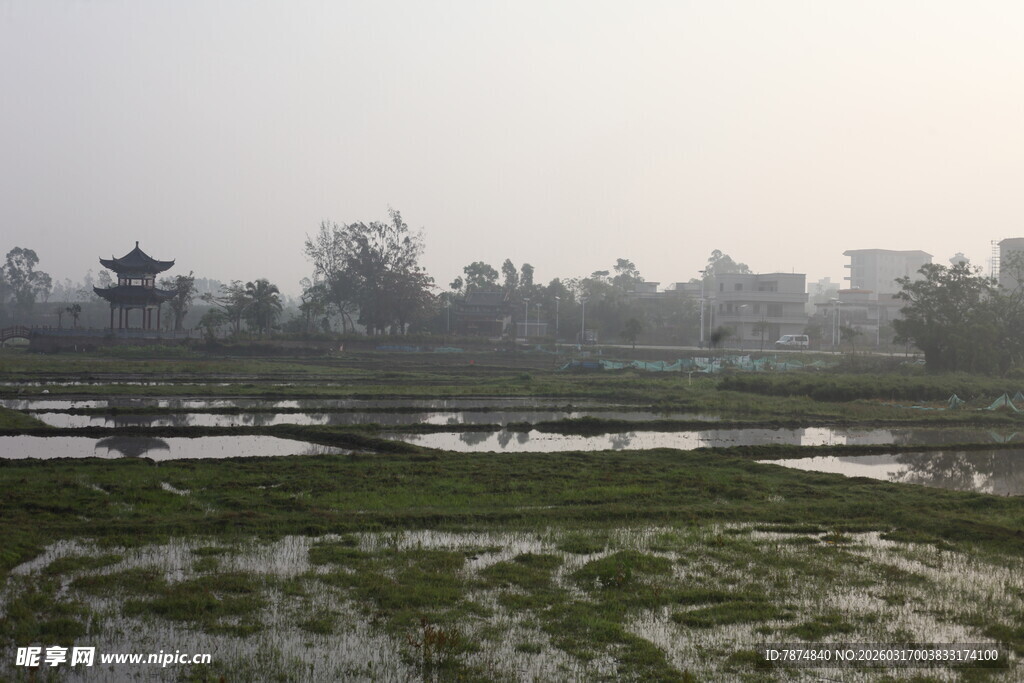 雾中水田与远处朦胧景象