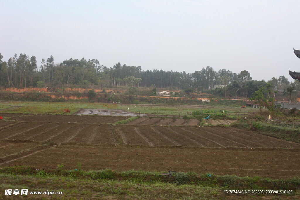 乡村农田景象