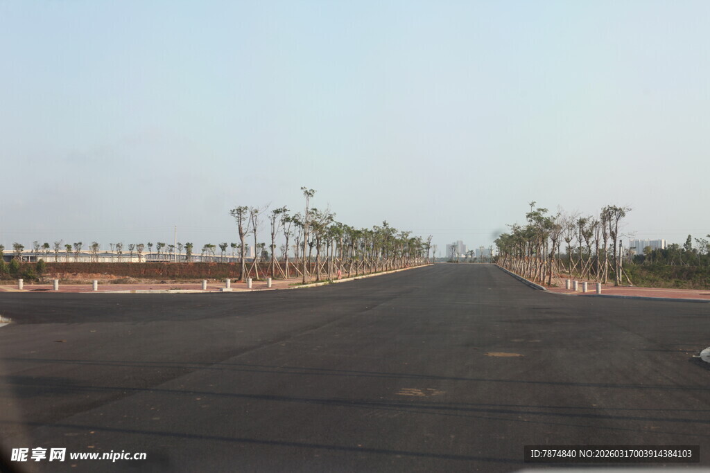 宽阔道路旁整齐排列树木