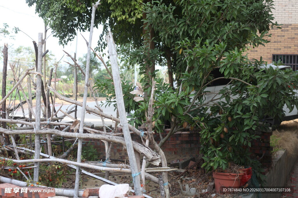 庭院绿植旁的简易搭建区