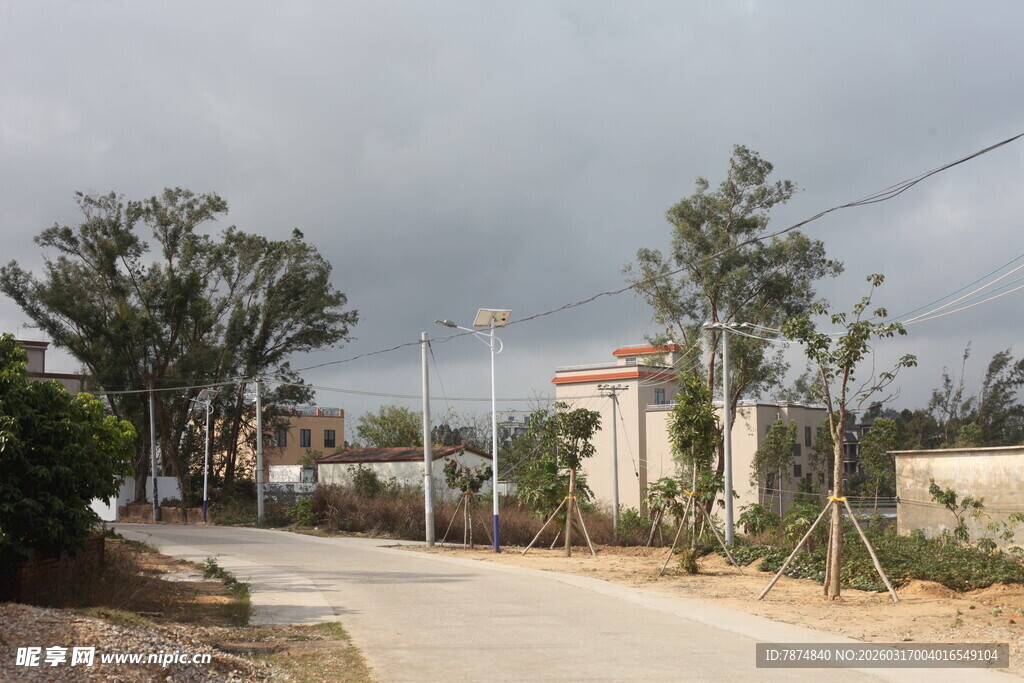 乡村道路旁的树木与建筑