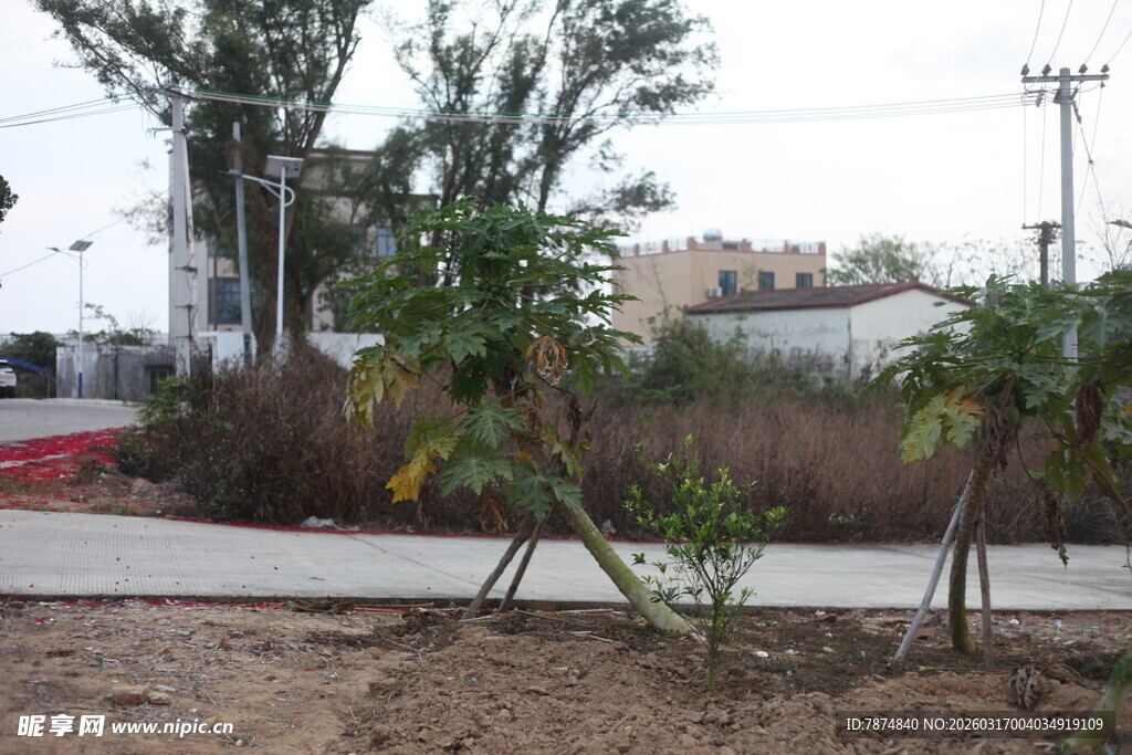 户外绿植与简易设施场景