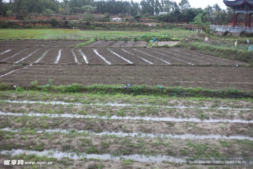 农田耕地景象