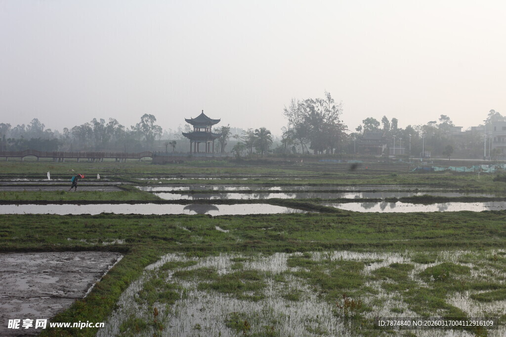 雾中水田与远处建筑景观