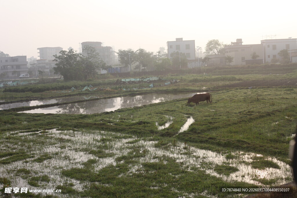 乡村田野风光景色