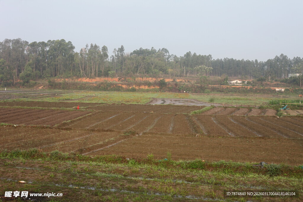 田野风光 展现乡村质朴之美