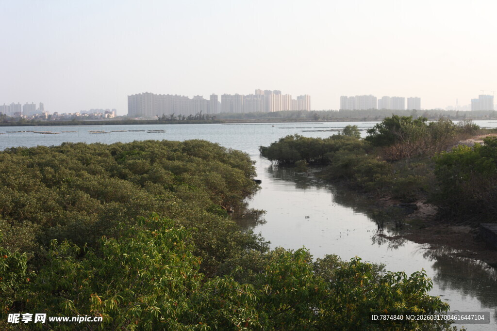 河畔绿意盎然的自然景致