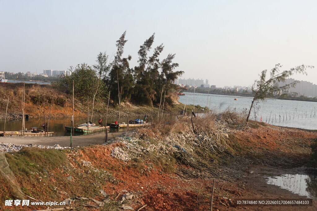 湖畔岸景 草木摇曳