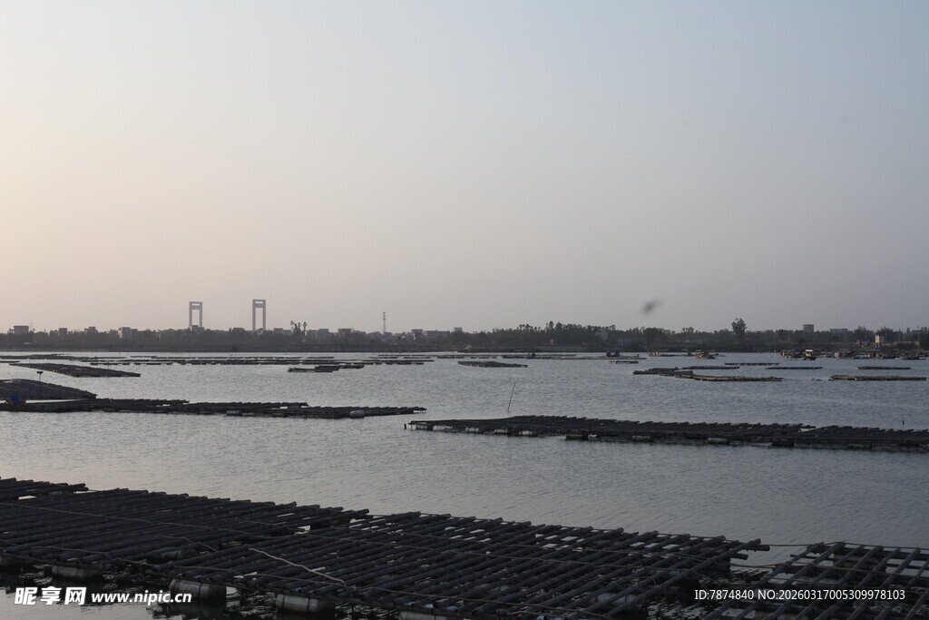 海边滩涂养殖景象