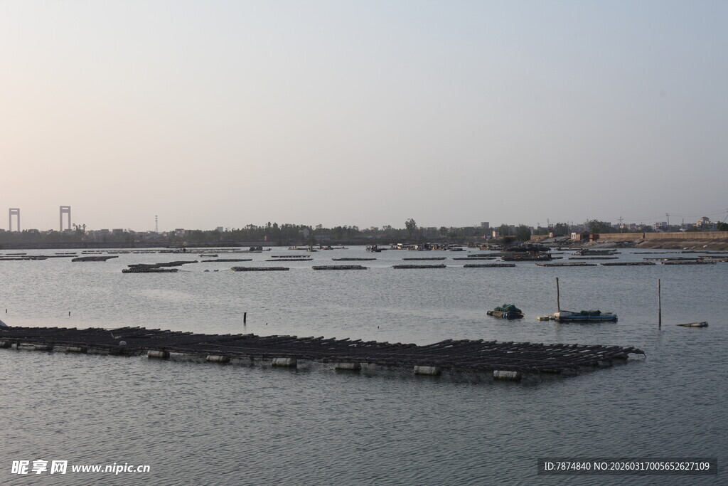 海滨风光 近海养殖景象