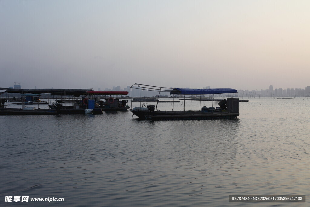 港口停泊的船只