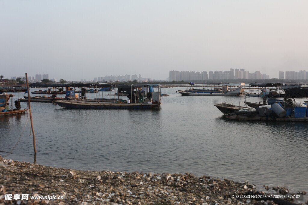 港口停泊的船只景象