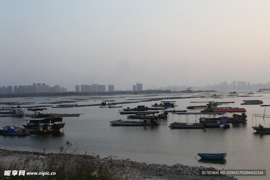港口停泊船只景象