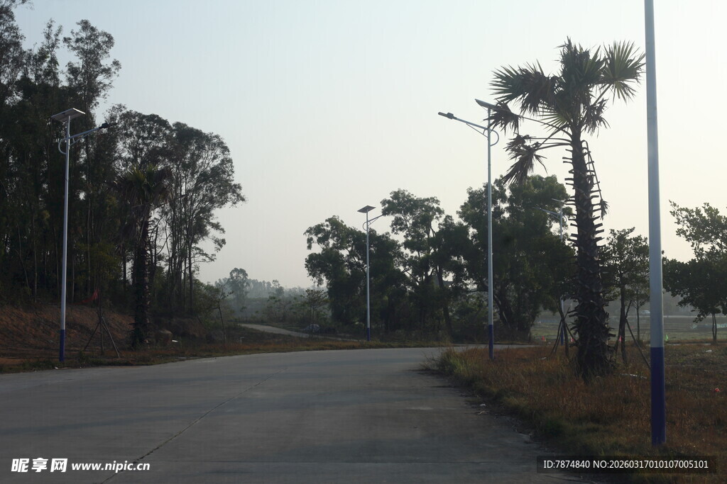 乡间林荫路风景