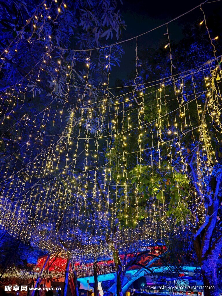 梦幻灯光装饰的璀璨场景