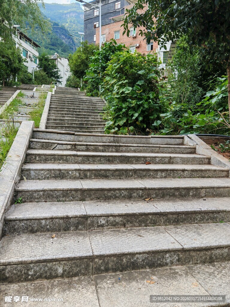 户外石阶 绿植环绕景致美