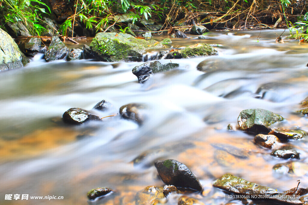 山间溪流潺潺灵动之景