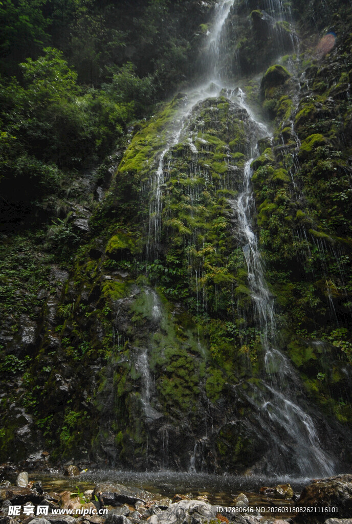 山间瀑布下的翠绿景致