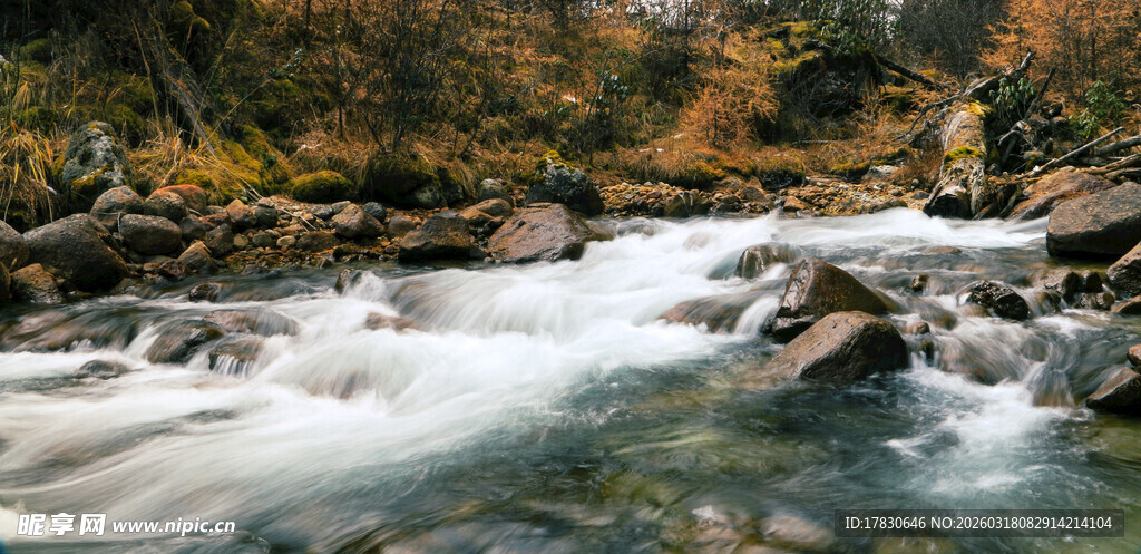 山间溪流秋色美景