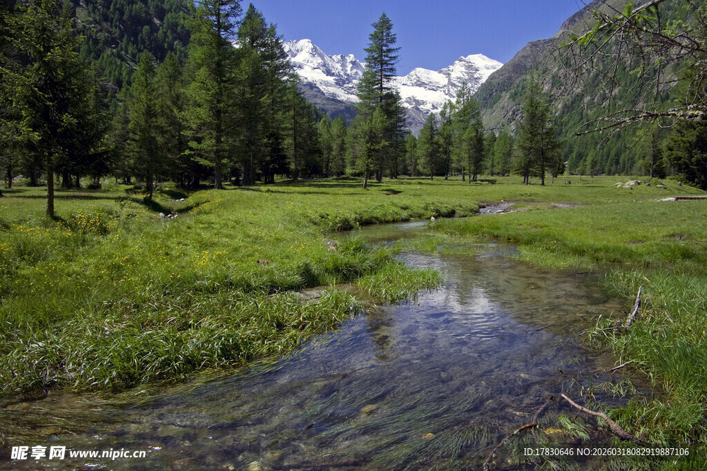 山间溪流旁的翠绿草地