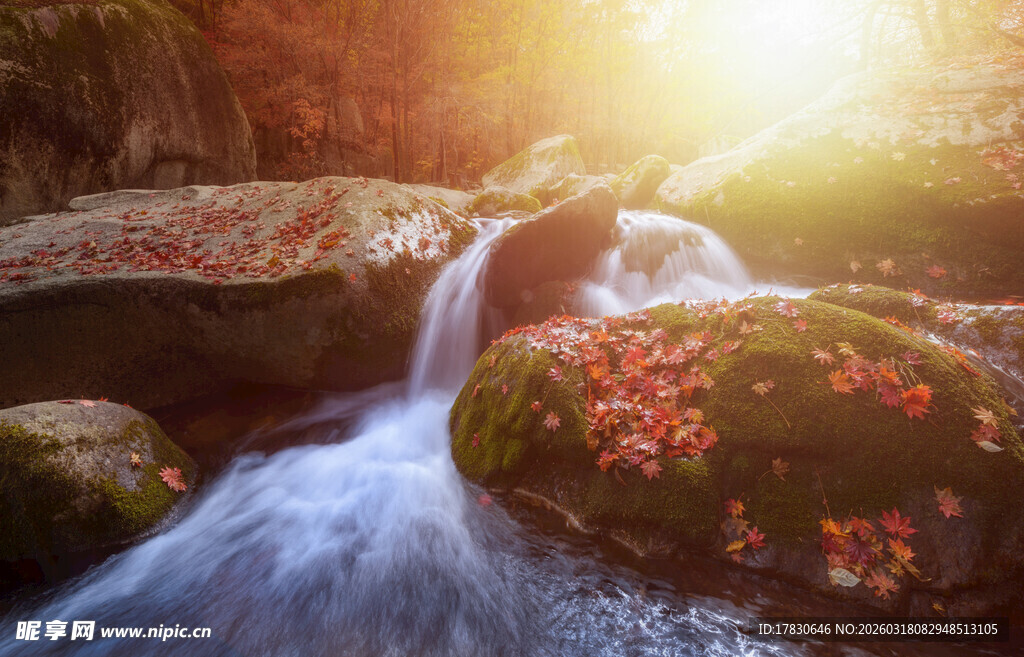 秋日溪流间的阳光美景