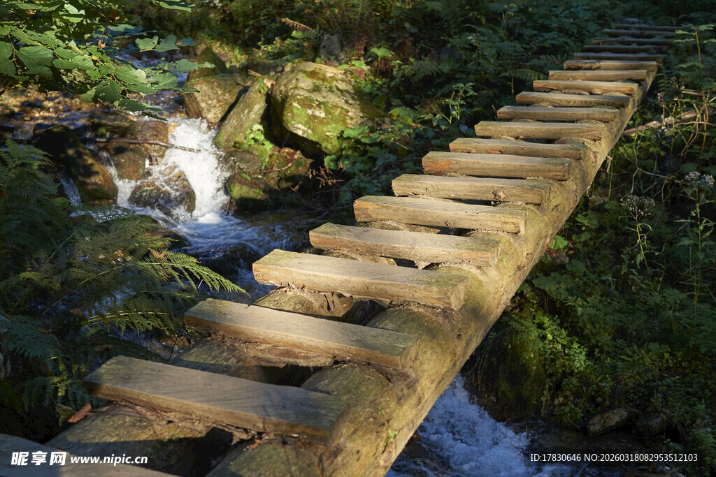 林间木栈道潺潺溪流相伴